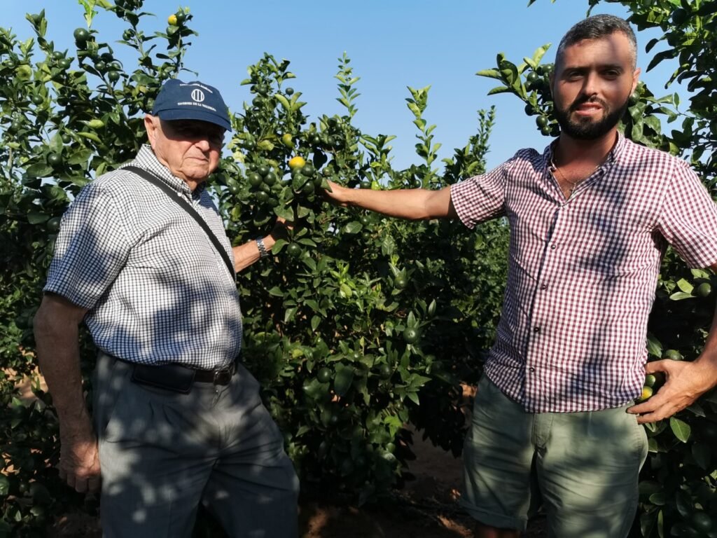 Cosechadores junto a planta de citricos